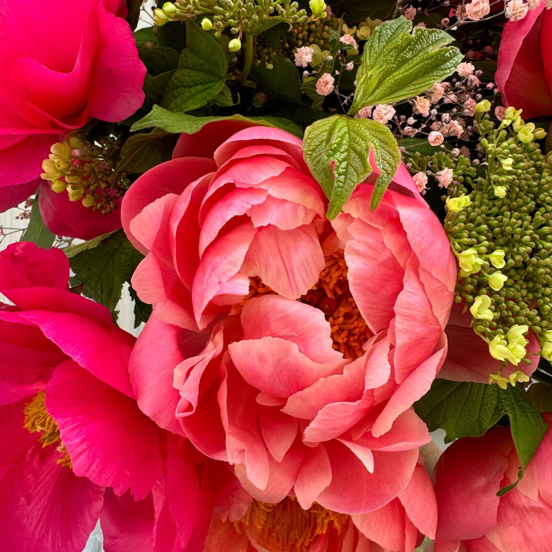 Brassée de pivoines